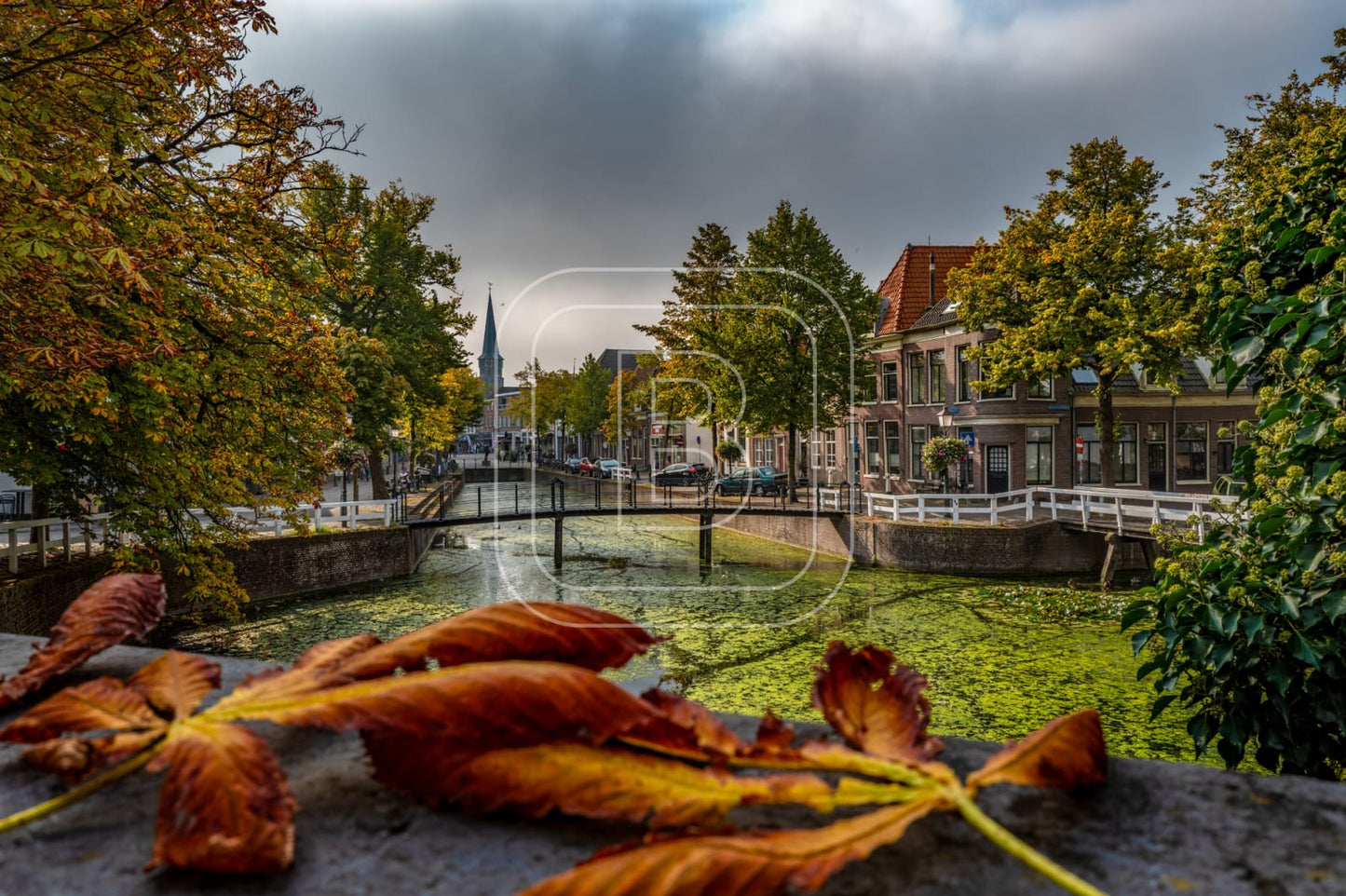 NIEUWLAND_KIPPEBRUGGETJE