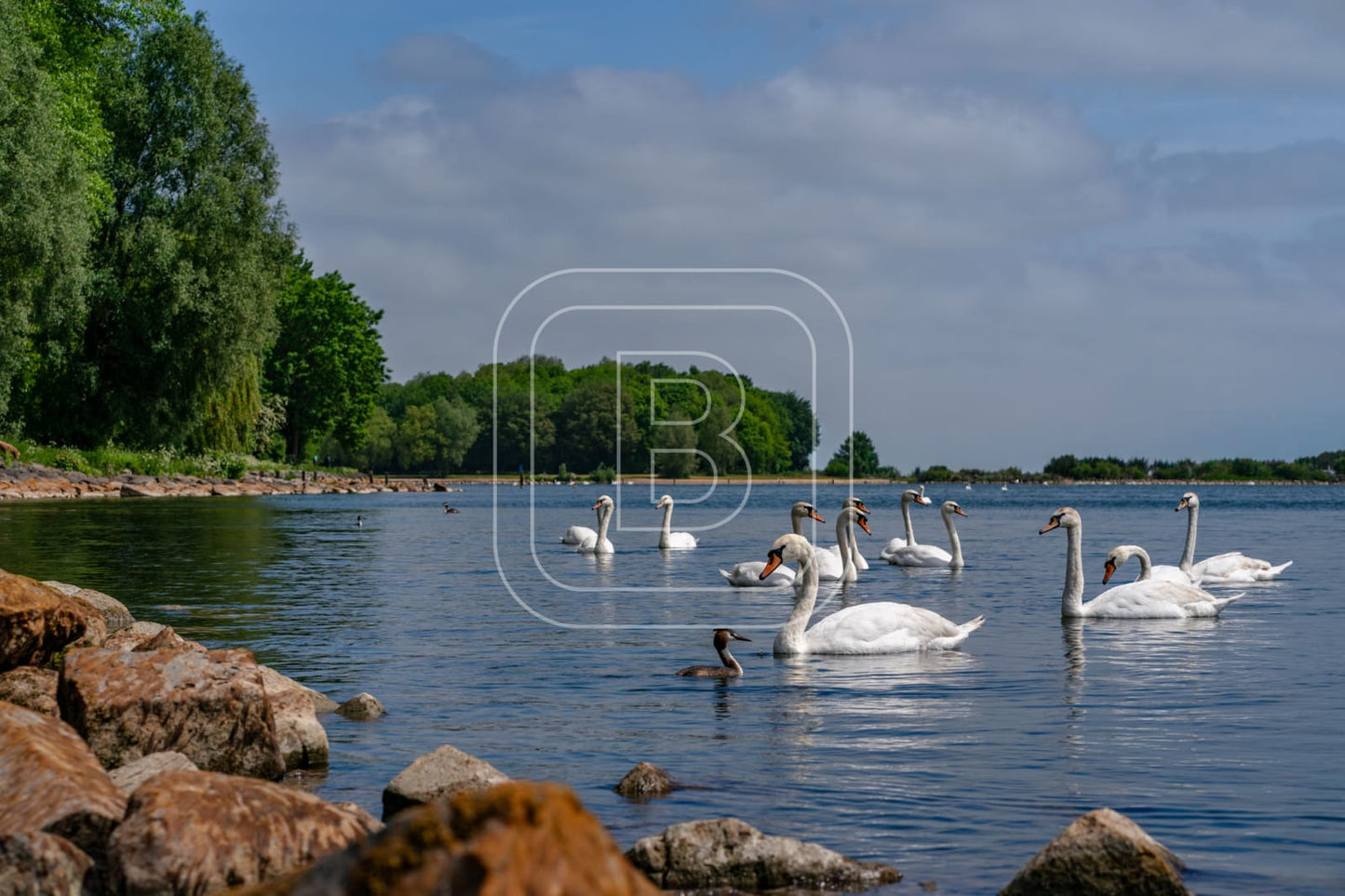 LANDSCHAP_JULIANAPARK
