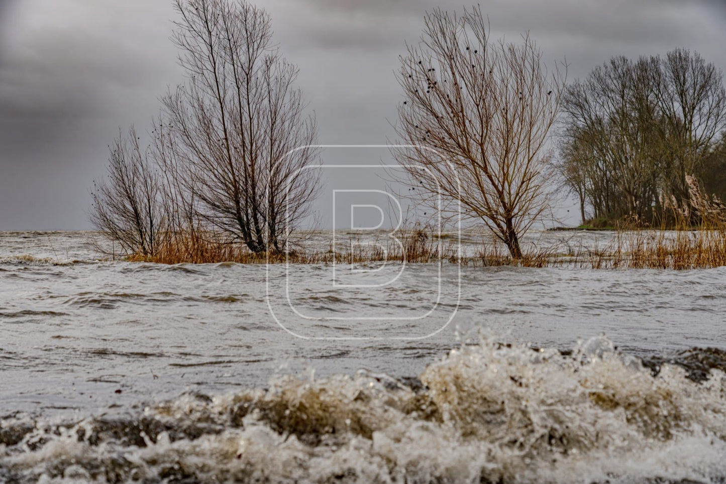 landschap_onstuimig_julianapark_liggend