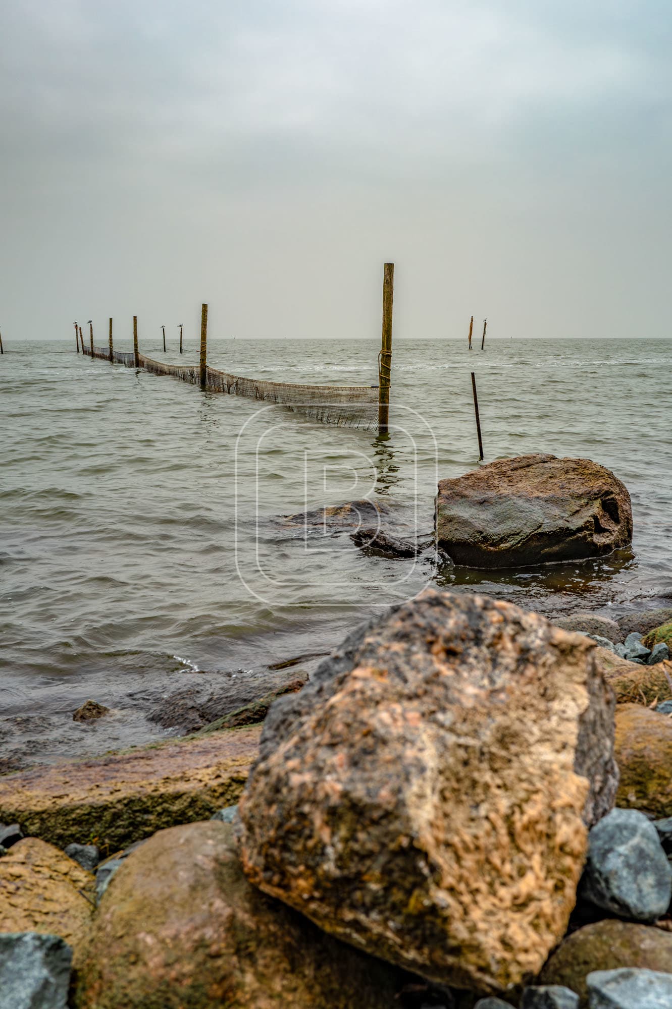 STILLEVEN_KUST