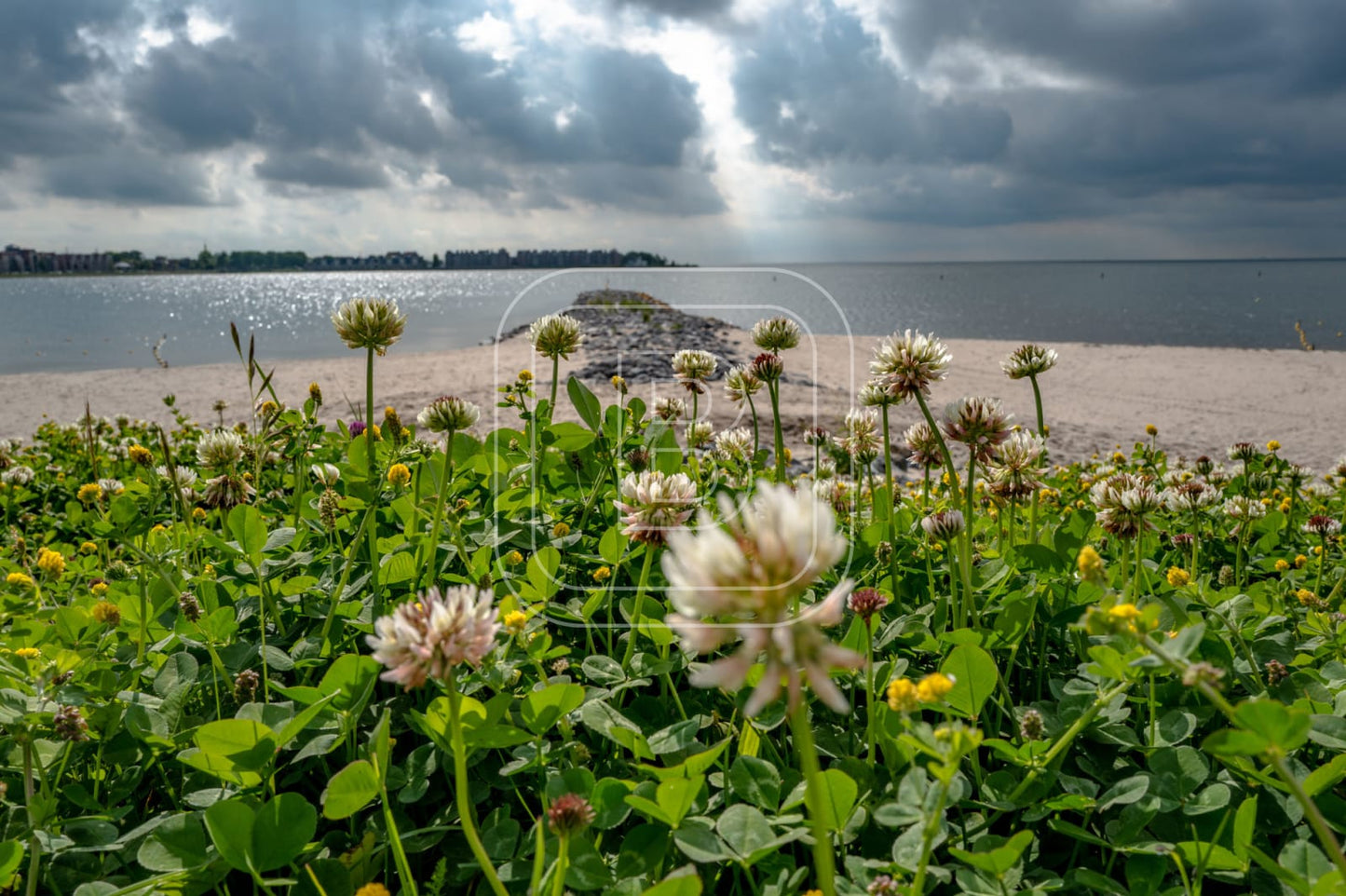 LANDSCHAP_STADSSTRAND