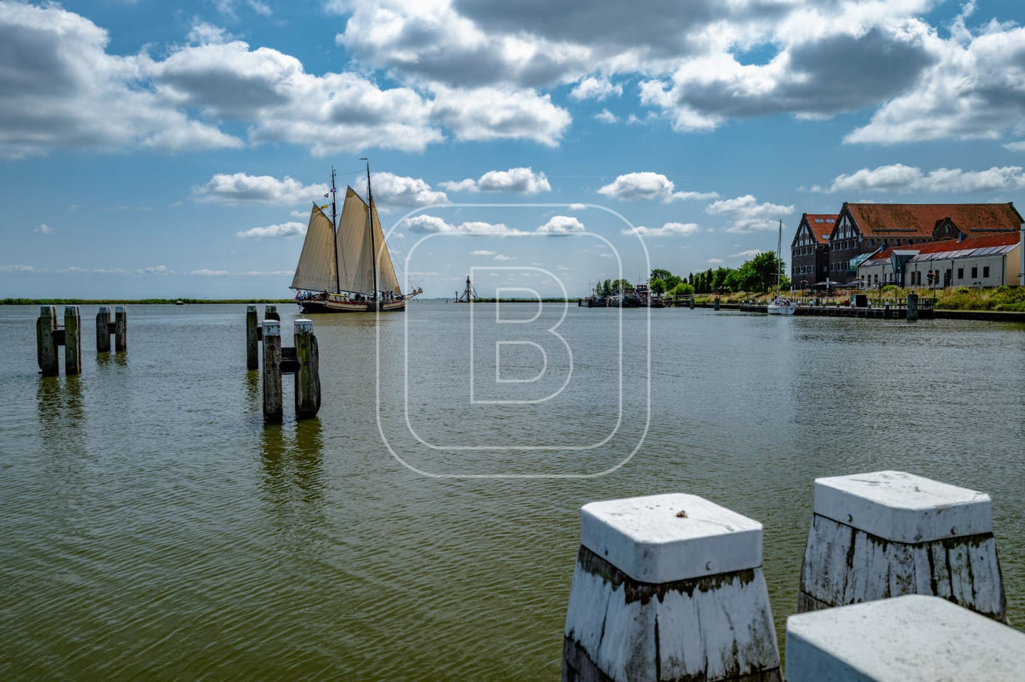 OOSTEREILAND_ZOMER