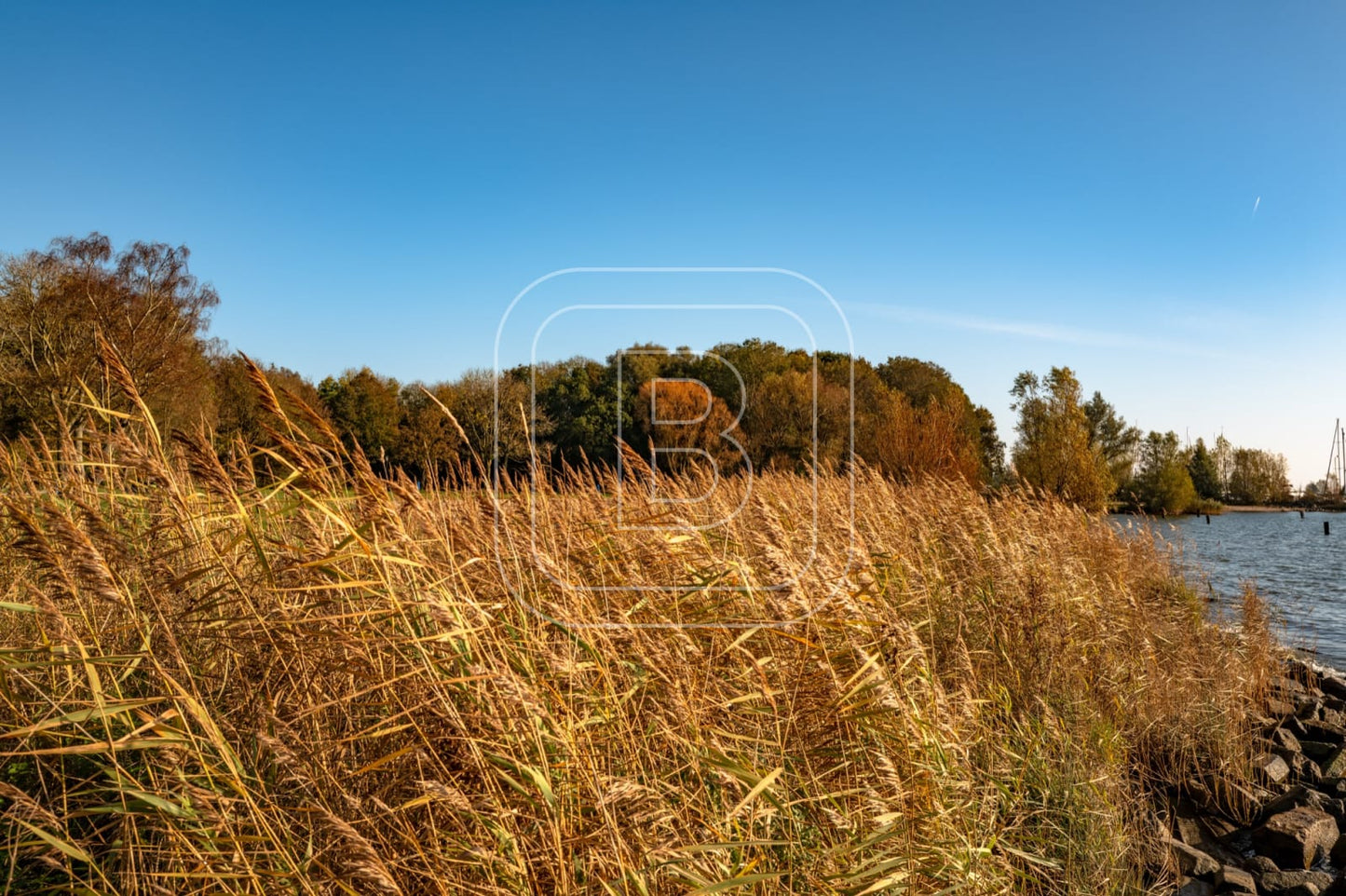landschap_juliana[ark_liggend