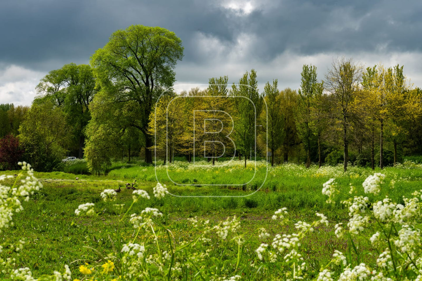 LANDSCHAP_DE_HULK