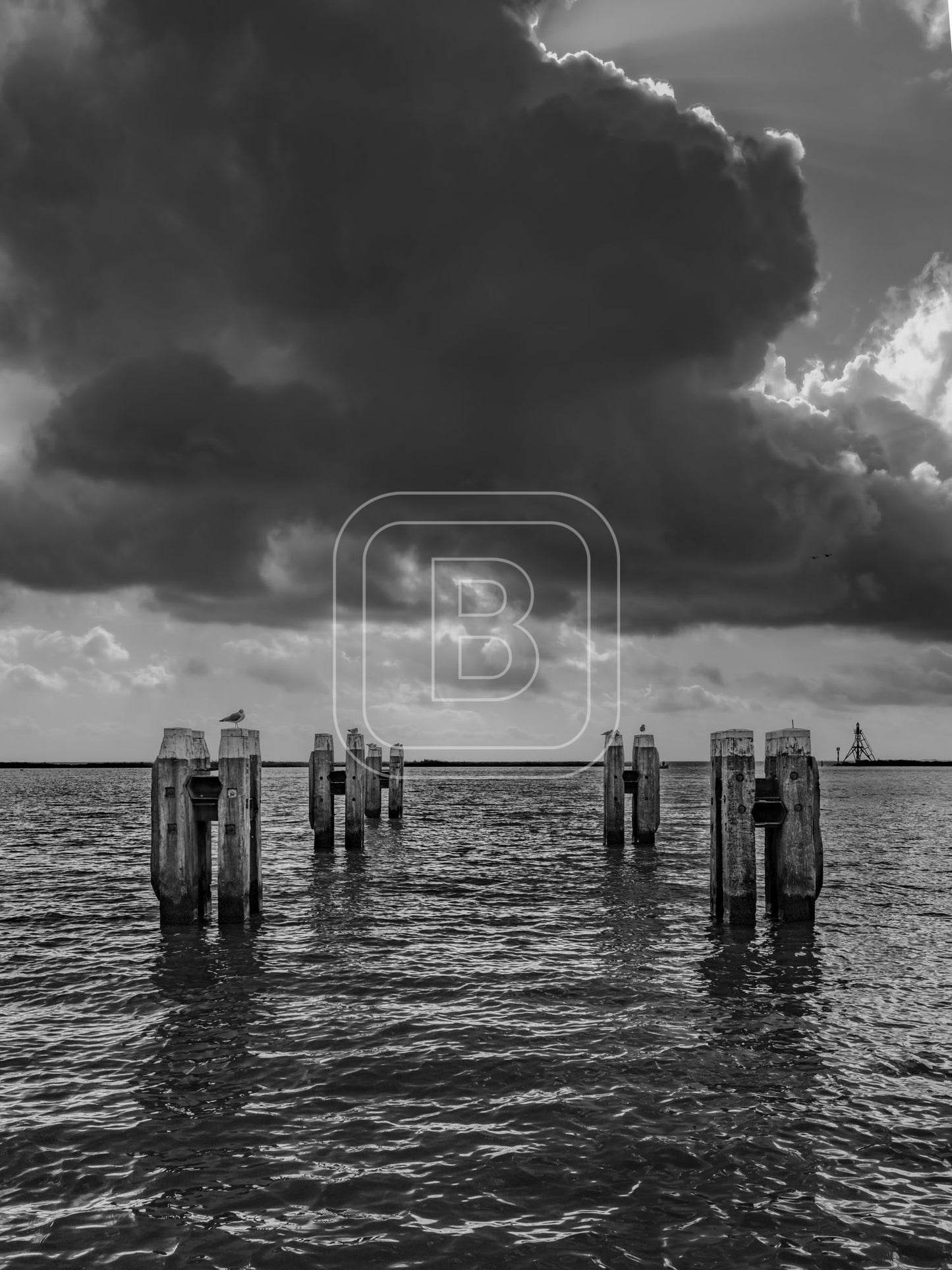 STILLEVEN_KUST