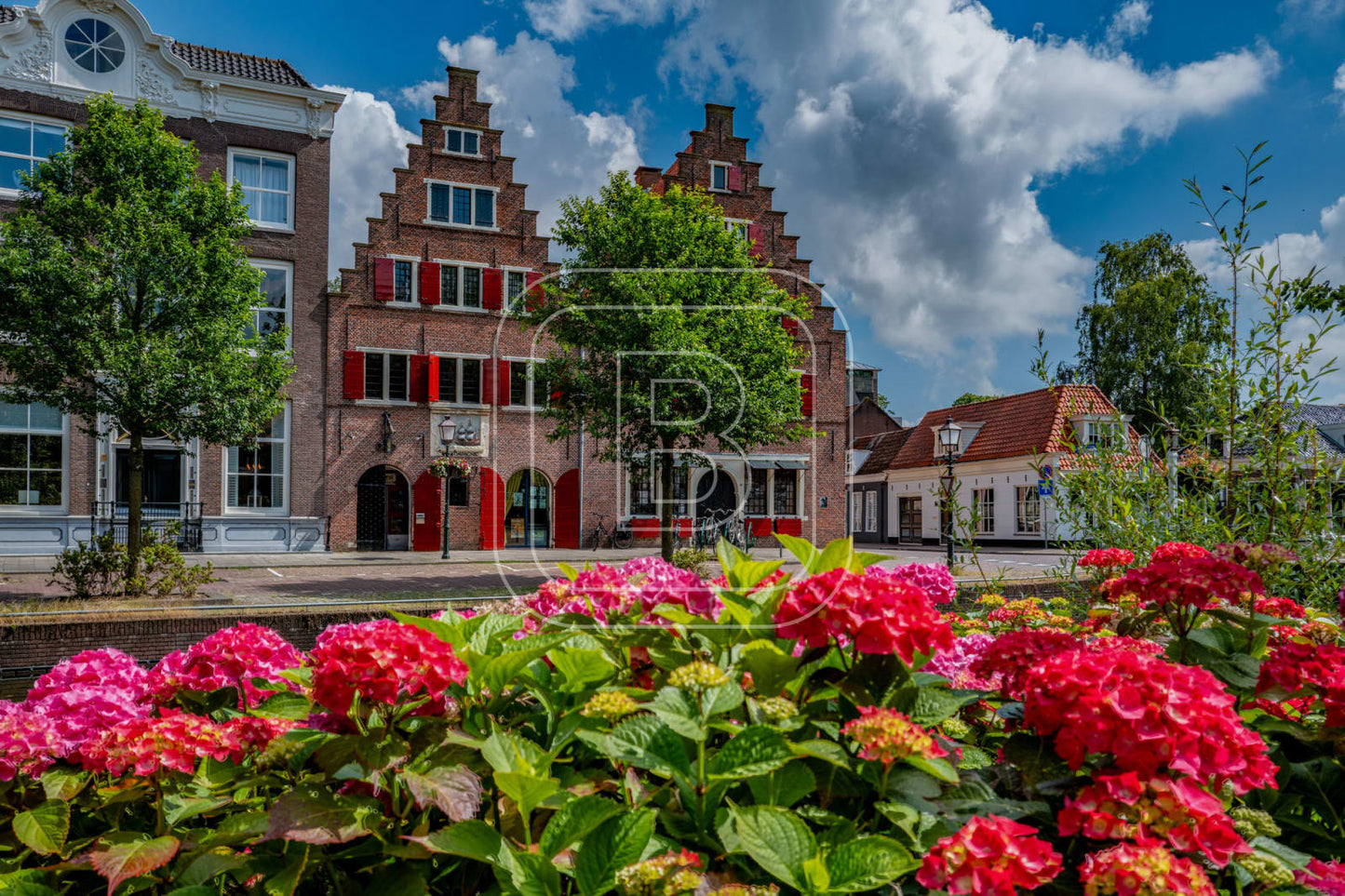 ONDER_DE_BOOMPJES