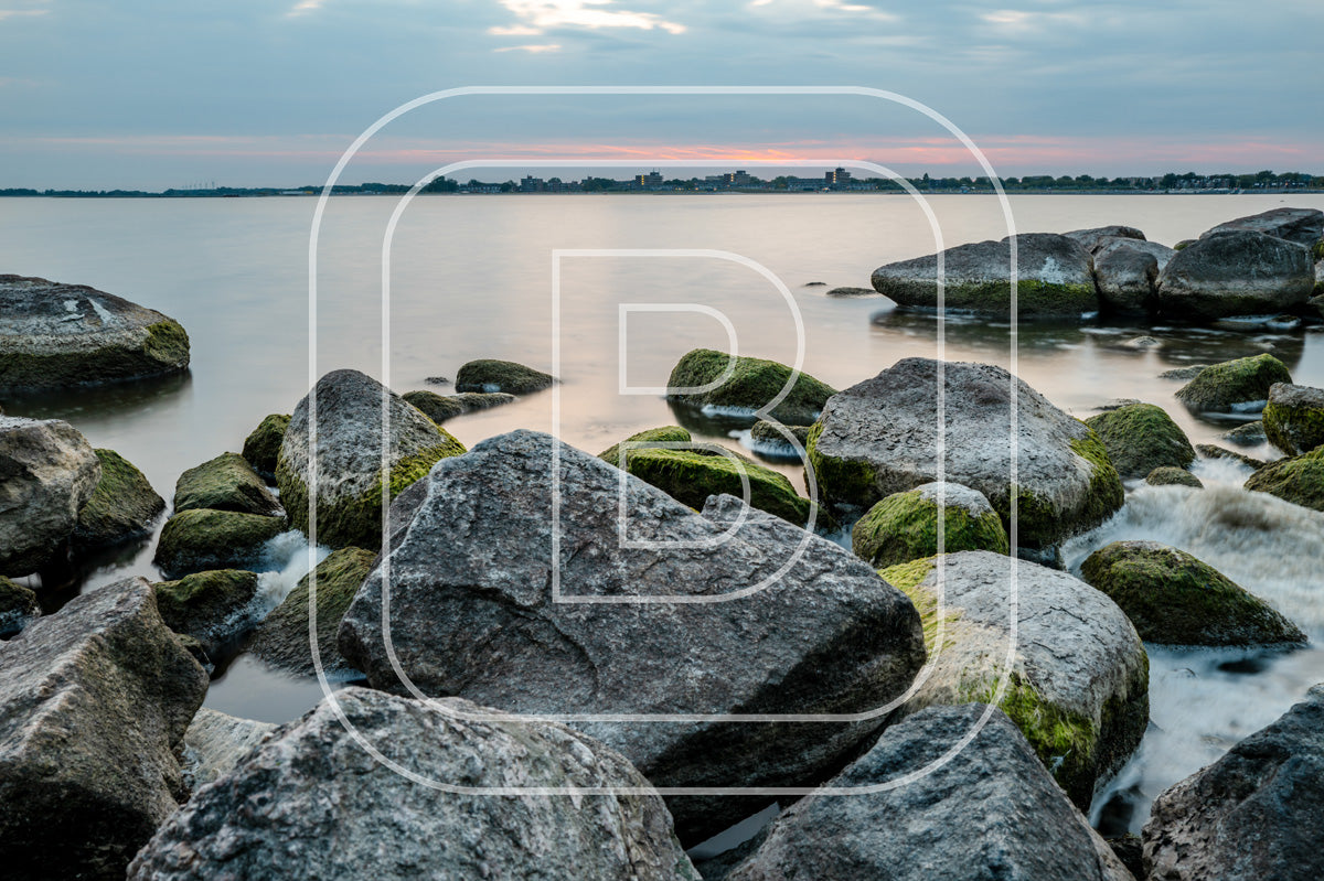 Alle natuur in Hoorn