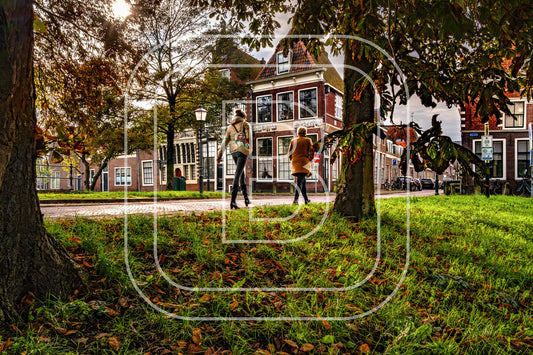 Grote Oost Bossuhuizen 62683