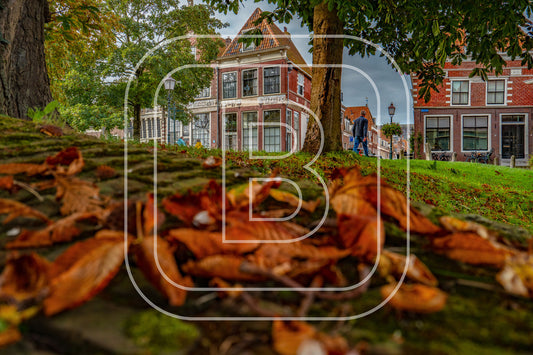 Grote Oost Bossuhuizen 08544