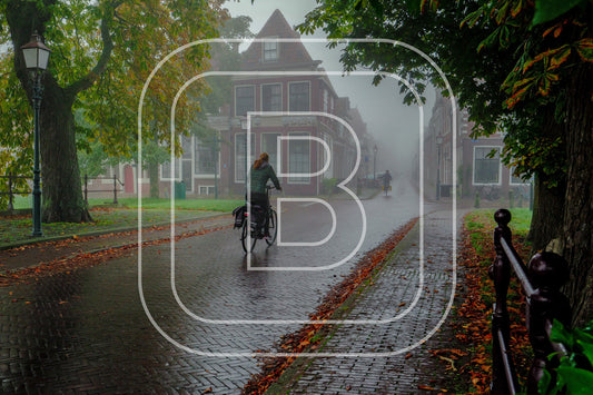 Grote Oost Bossuhuizen 39156