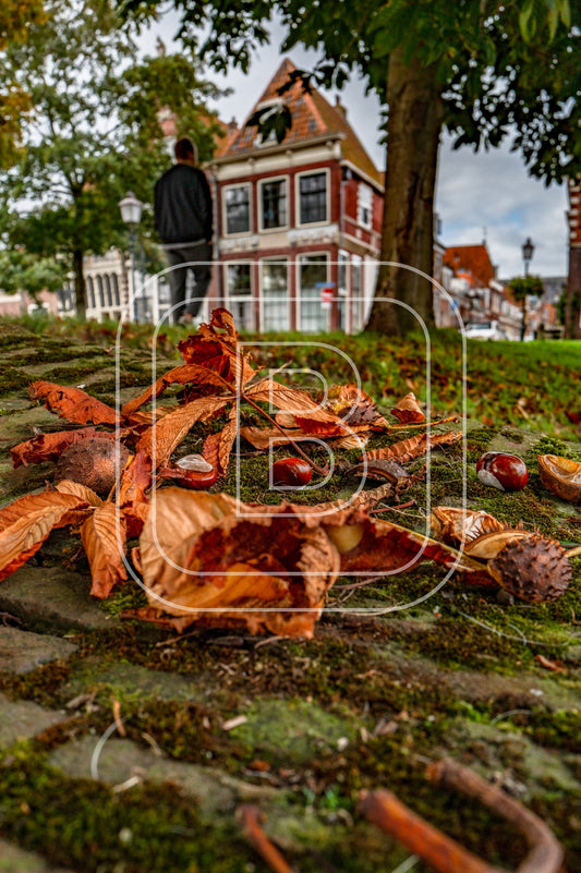 Grote Oost Bossuhuizen 69168