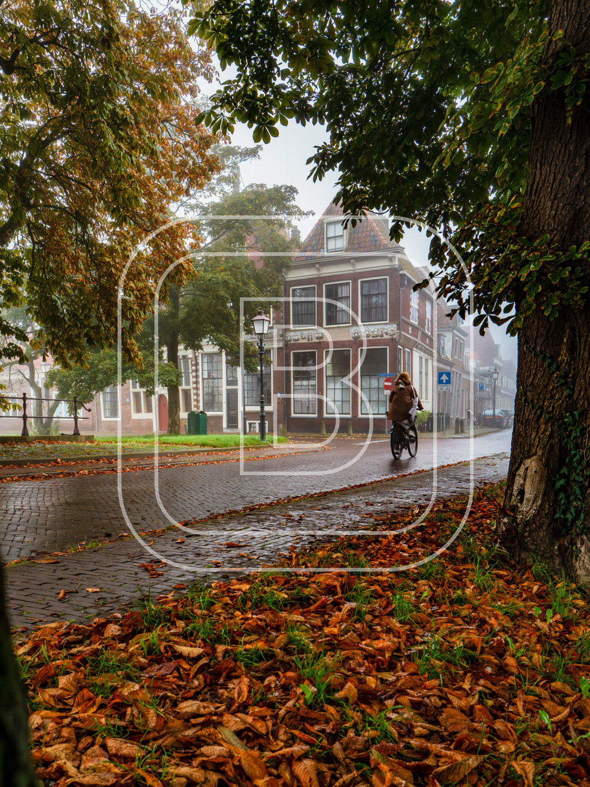 Grote Oost Bossuhuizen 27486