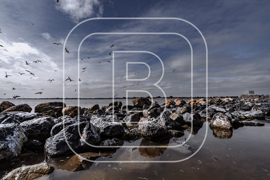 Keien Westerdijk 92466