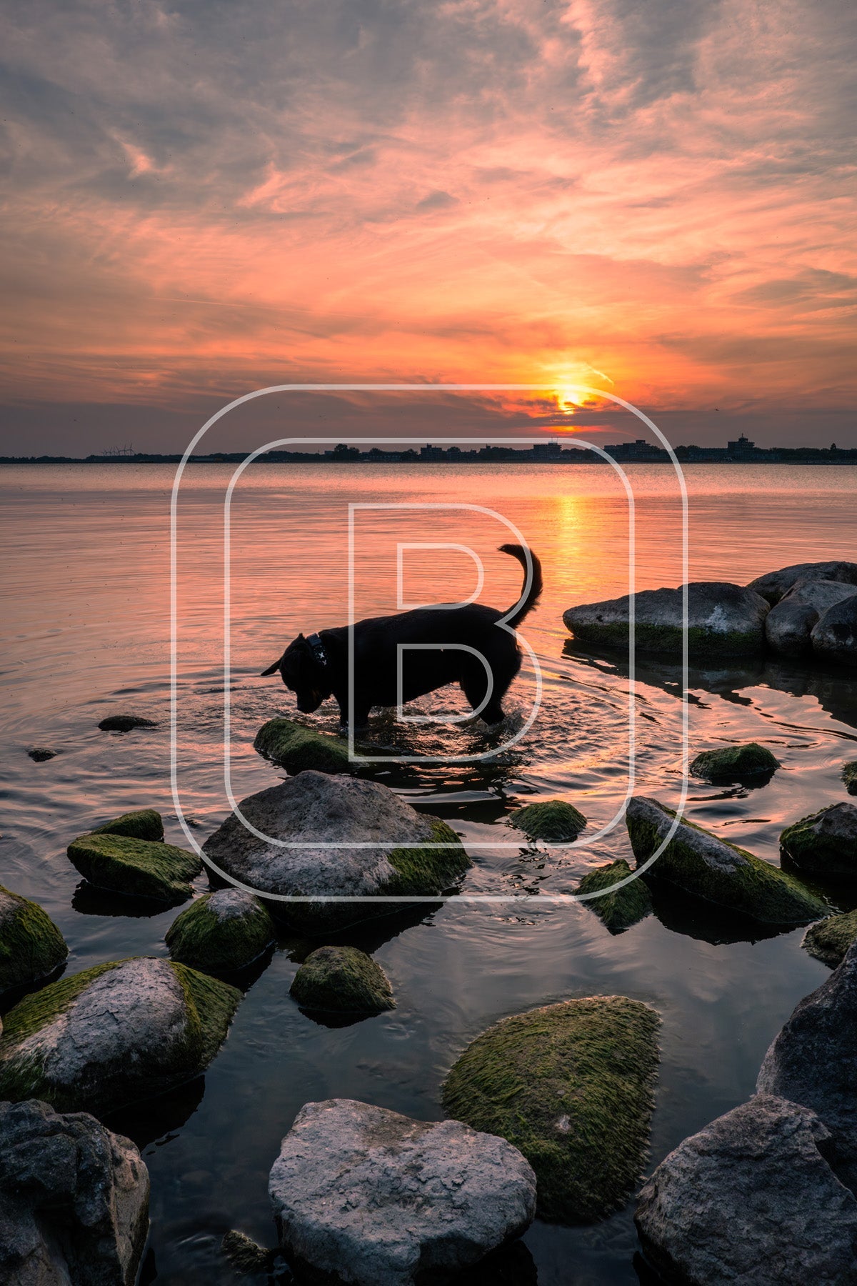 Keien Westerdijk 71734