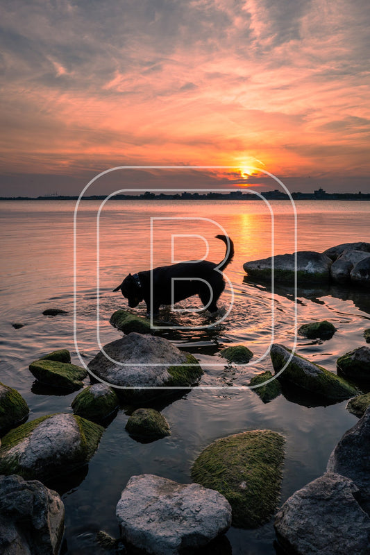 Keien Westerdijk 71734