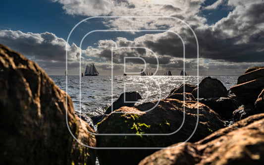 Landschap Markermeer 88089