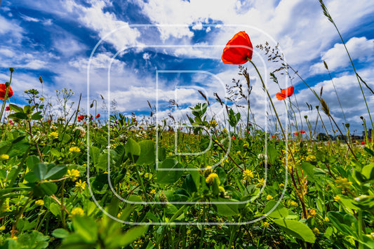 Landschap Stadssstrand 61217