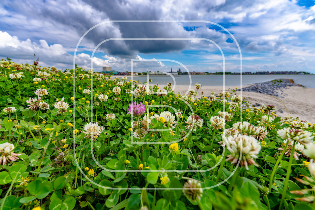 Landschap Stadssstrand 98290