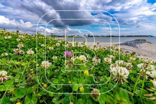 Landschap Stadssstrand 98290