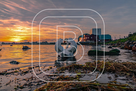 Park Schouwburg 77237