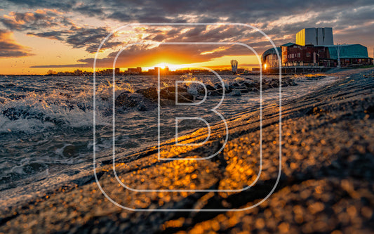 Park Schouwburg 06338