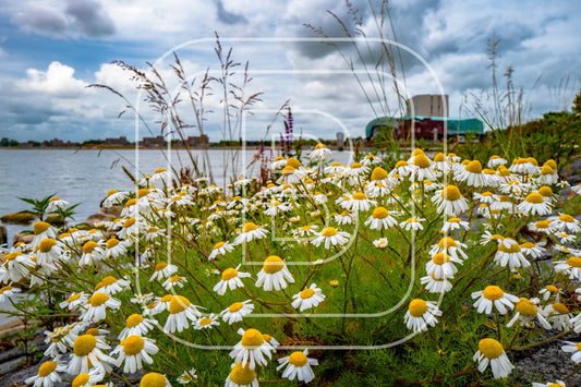 Park Schouwburg 27183