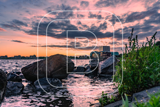 Park Schouwburg 73935