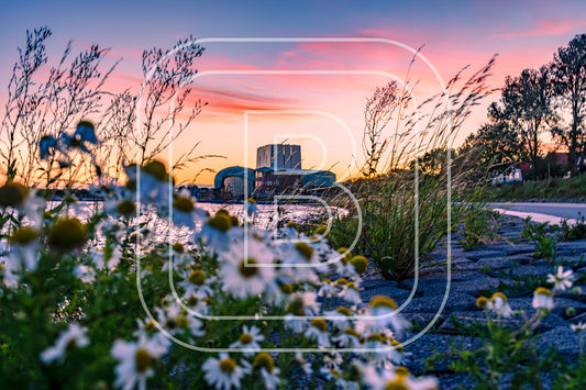 Park Schouwburg 94041