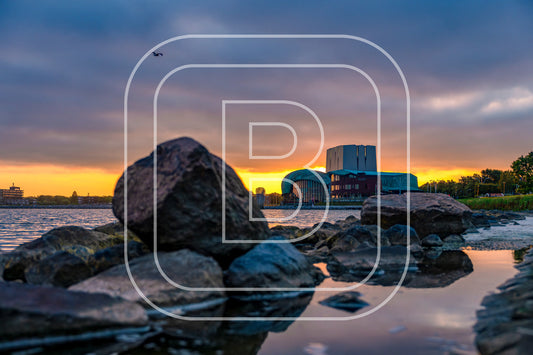 Park Schouwburg 95805