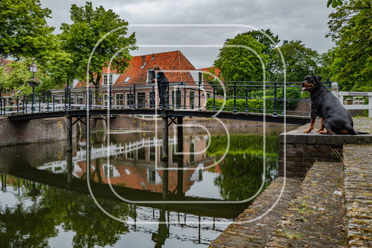 Nieuwland Kippebruggetje 62053