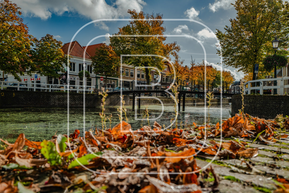 Nieuwland Kippebruggetje 45467