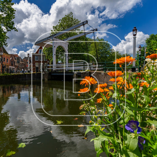 Onder De Boompjes 34523