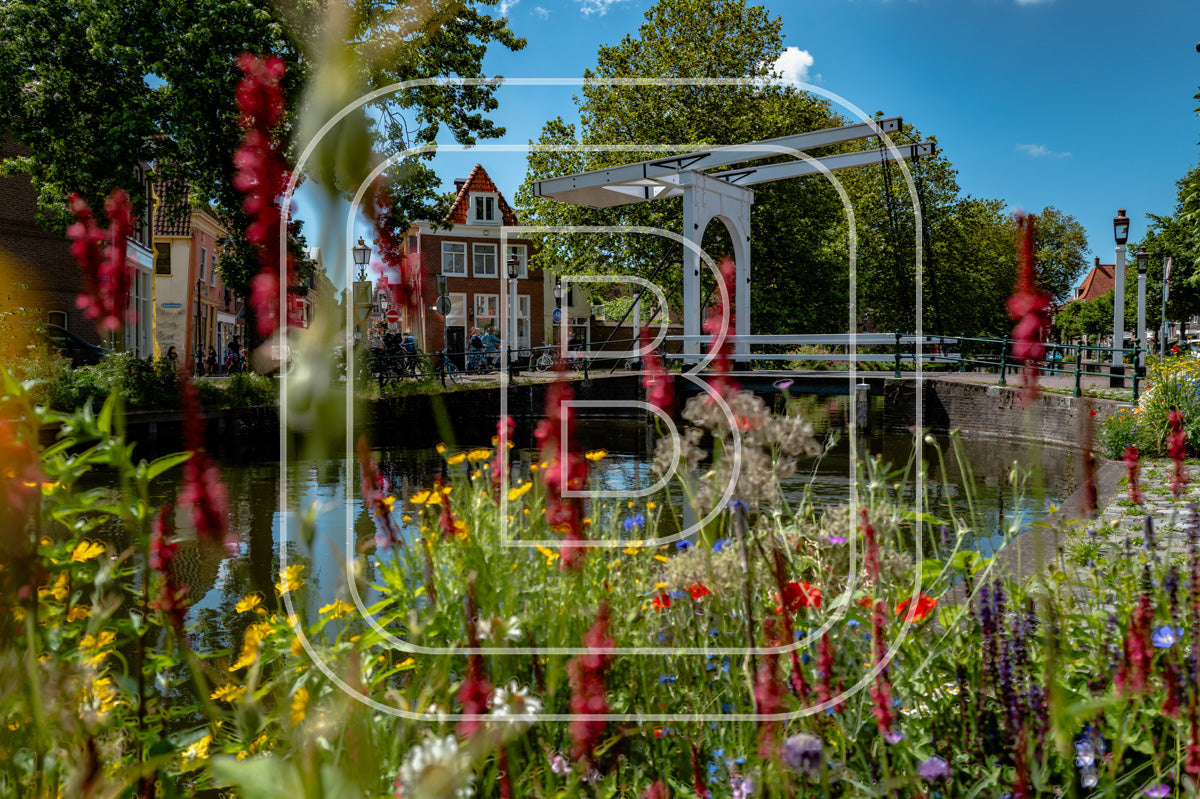 Onder De Boompjes 28081