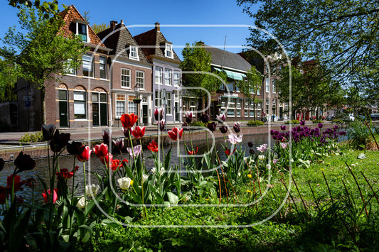 Onder De Boompjes 94812