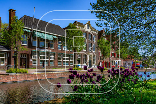 Onder De Boompjes 15861