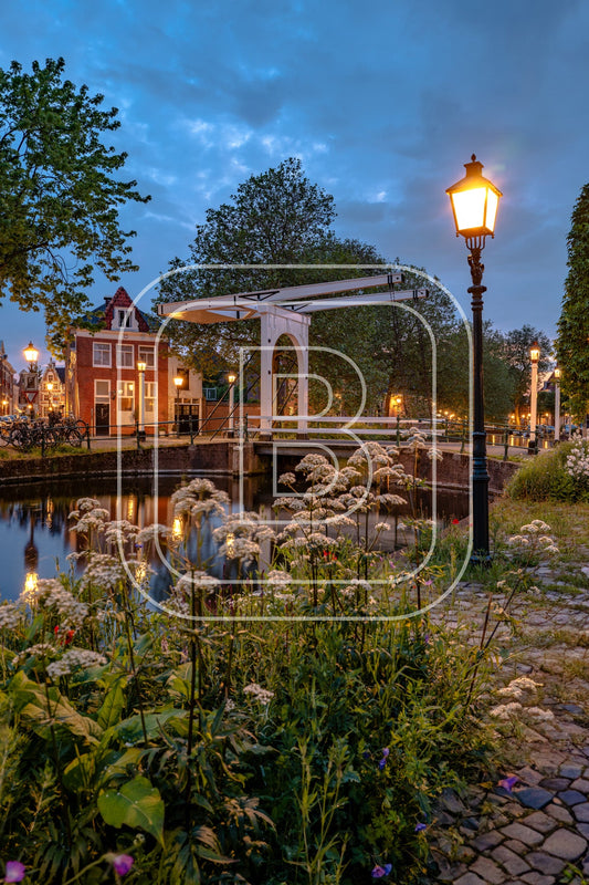 Onder De Boompjes 27917