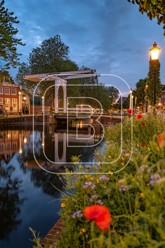 Onder De Boompjes 26013