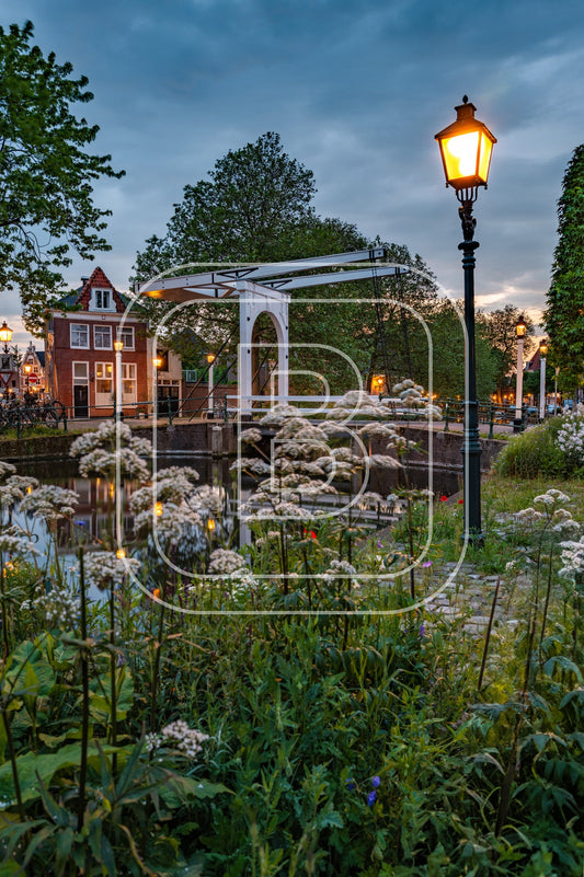 Onder De Boompjes 93524