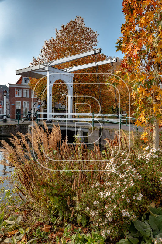 Onder De Boompjes 29968