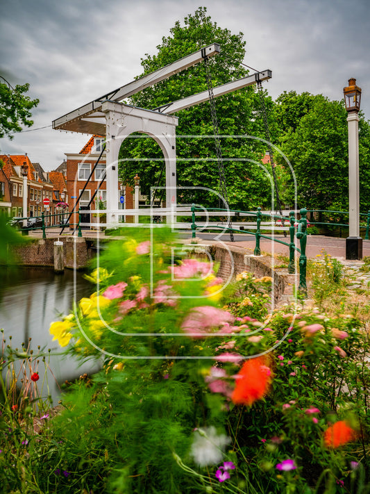 Onder De Boompjes 16829