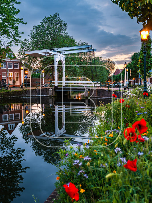 Onder De Boompjes 20466