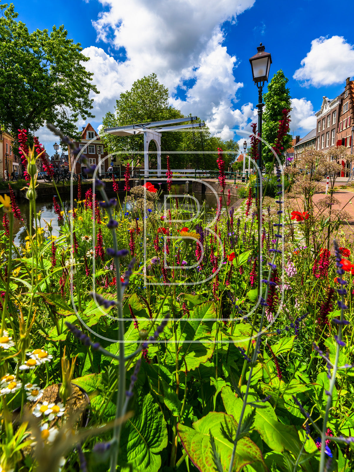 Onder De Boompjes 15027