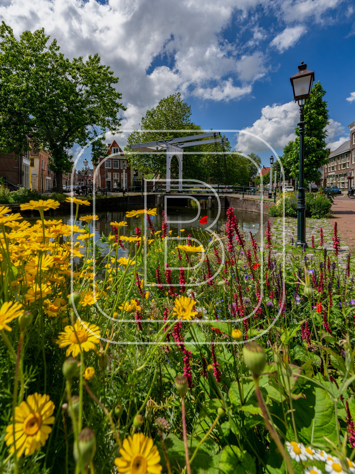 Onder De Boompjes 26760