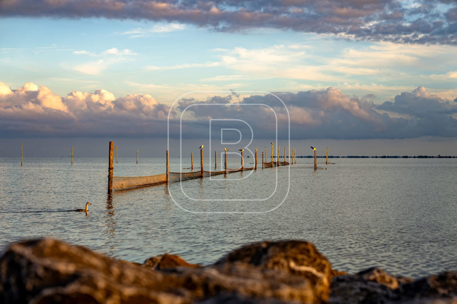 STILLEVEN_KUST