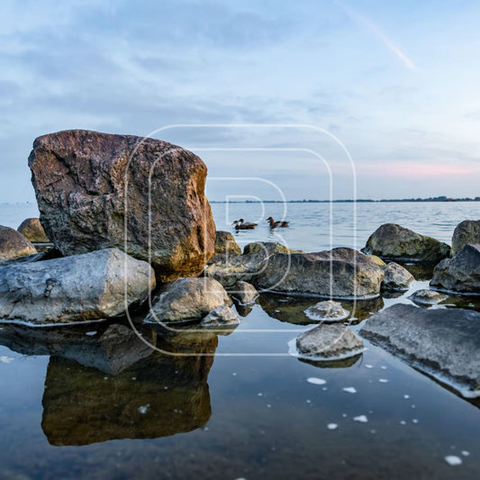 overzicht