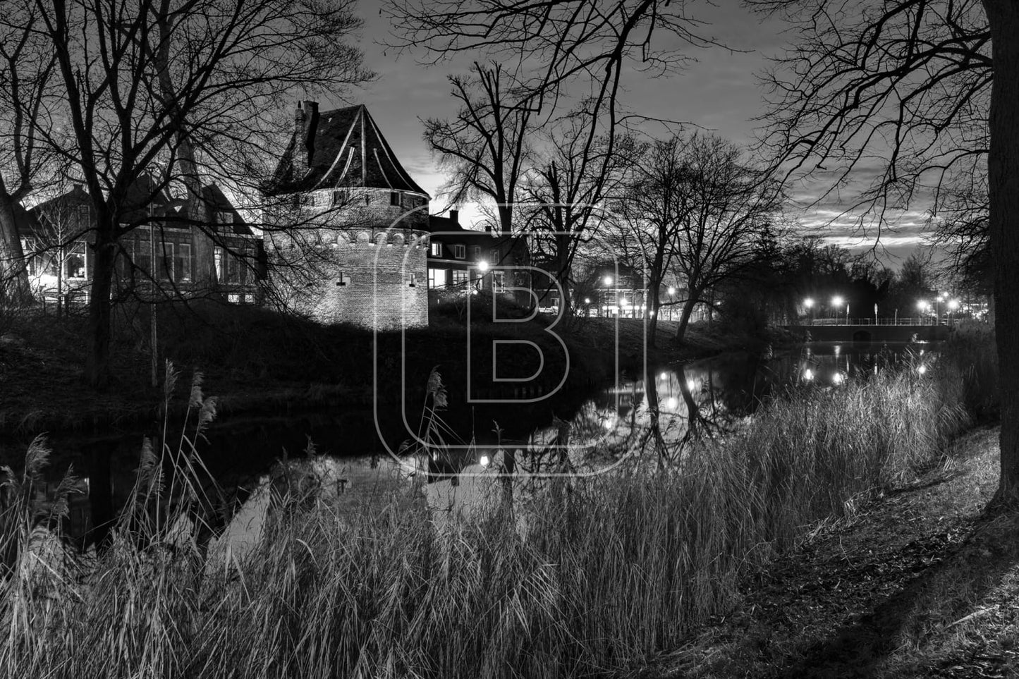KRUITTOREN_DRAAFSINGEL_WINTER