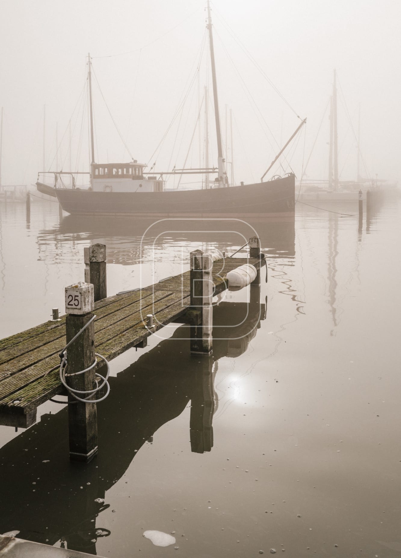 GRASHAVEN_MISTIG
