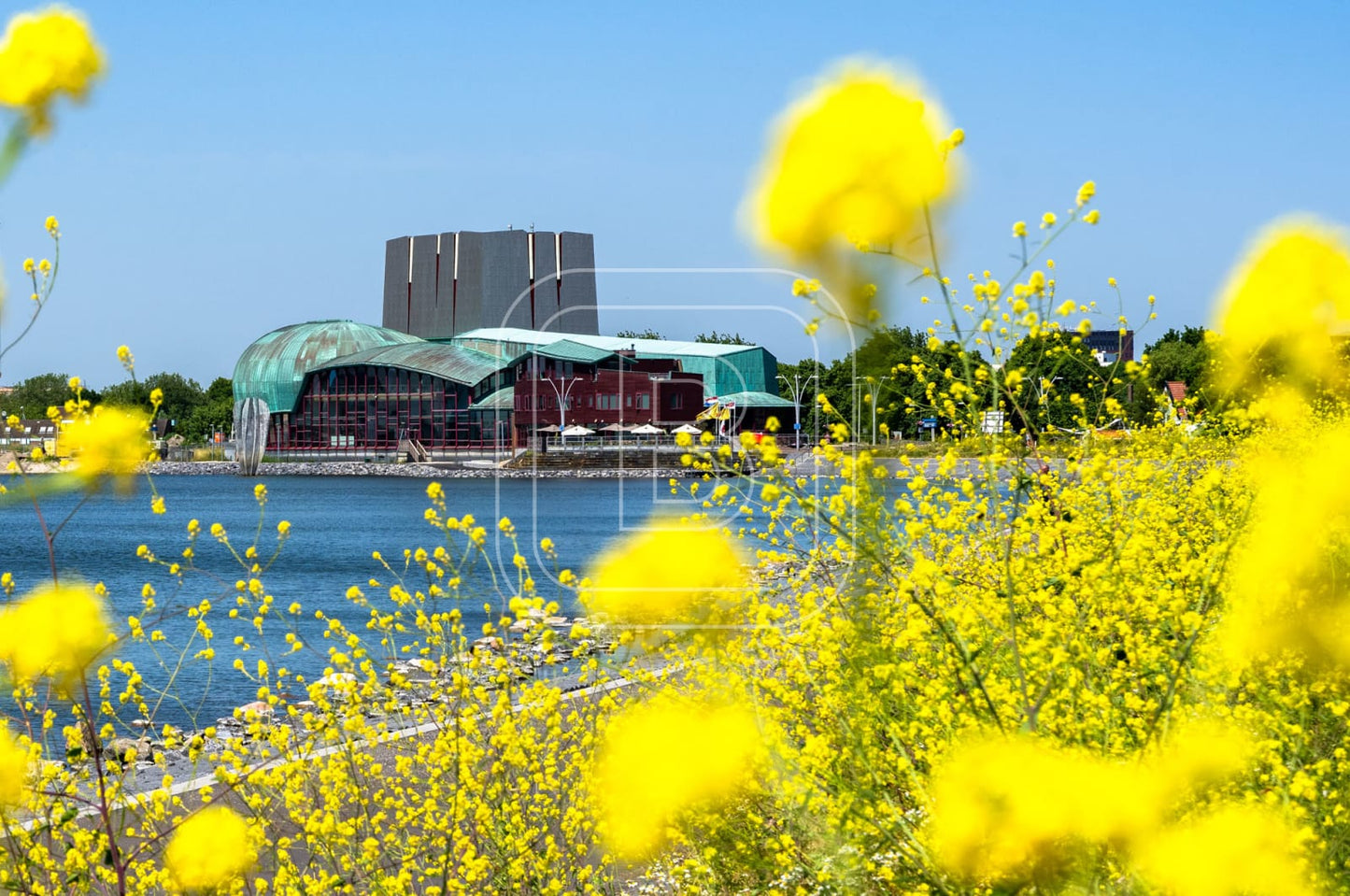 LANDSCHAP_WESTERDIJK_PARK_SCHOUWBURG