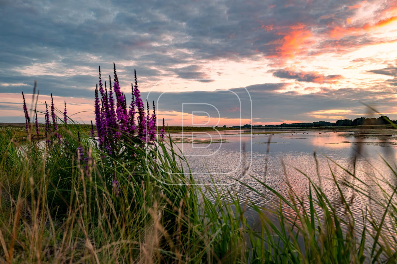 LANDSCHAP_STADSSTRAND