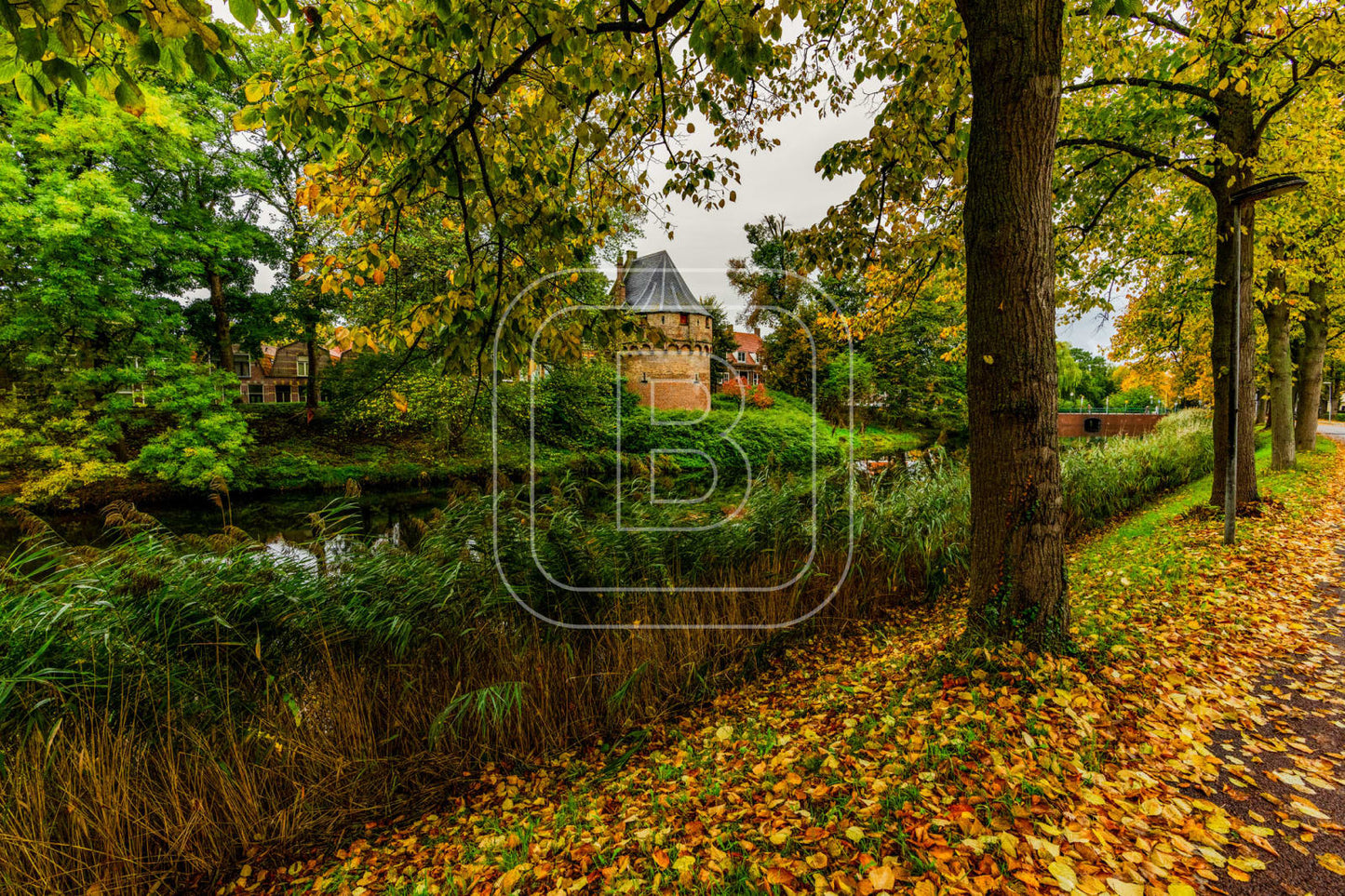 KRUITTOREN_DRAAFSINGEL_HERFST
